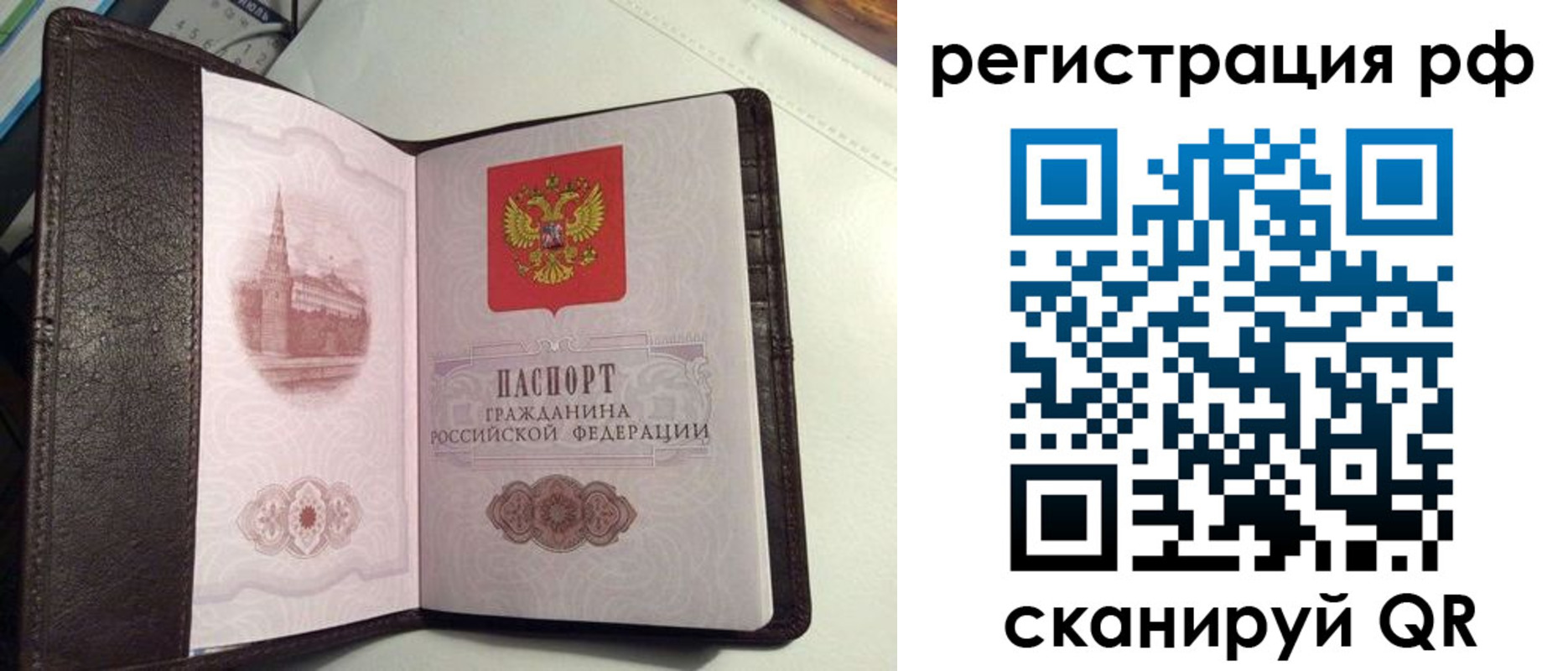 купить прописку в Курганской области